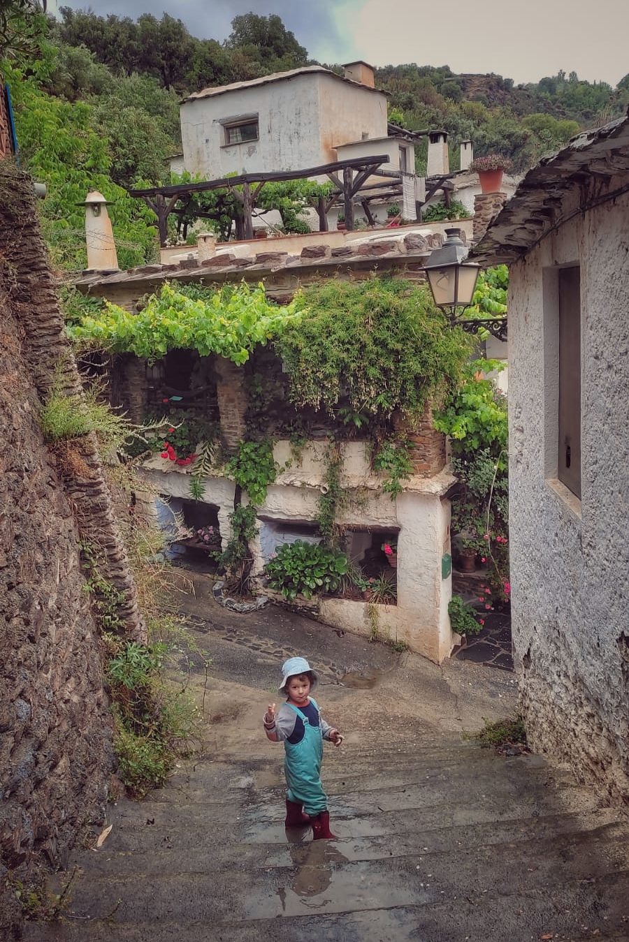 Traditional houses in Ferreirola, La Alpujarra, Granada, Spain